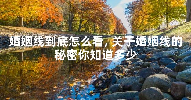 婚姻线到底怎么看,关于婚姻线的秘密你知道多少